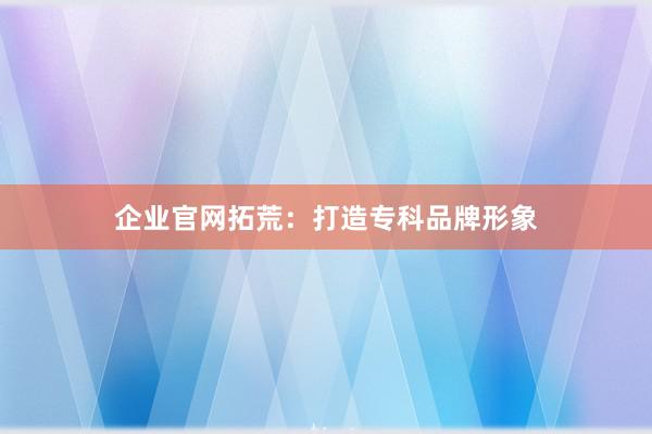 企业官网拓荒:打造专科品牌形象